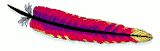 Apache