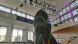 Die Rakete steht wieder in Hamburg., 37C3