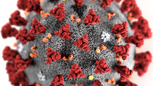 3D-Grafik des SARS-CoV-2-Virions, Coronavirus